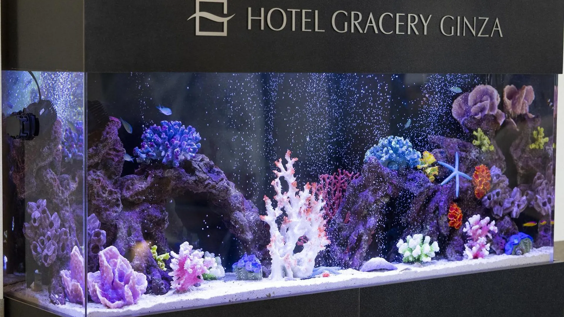 Hotel Gracery Ginza Tokyo